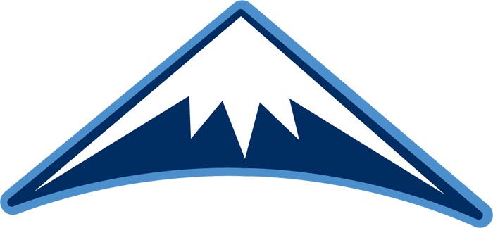 Denver Nuggets 2008-2018 Alternate Logo iron on transfers for fabric
